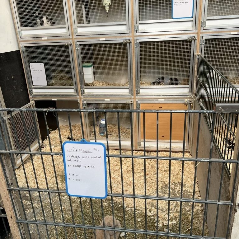 Dierenverblijf