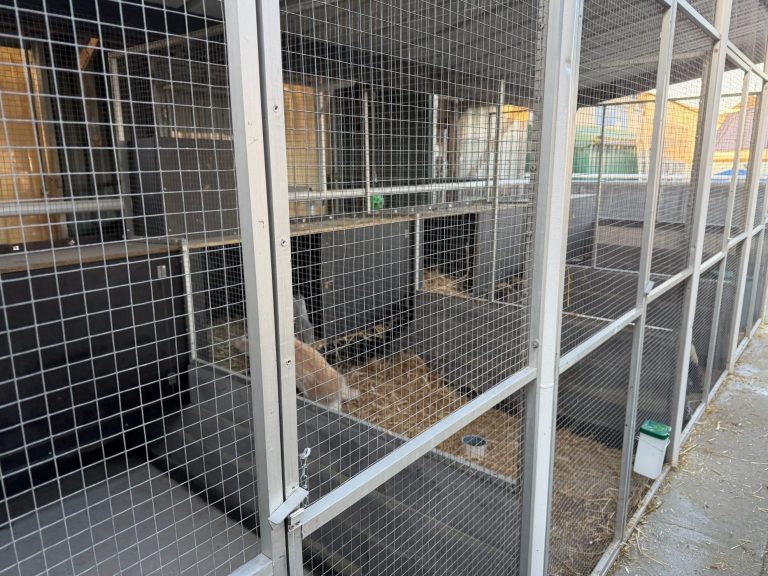 Lege kooien met stro en metalen hekken, geschikt voor dierenverblijf.